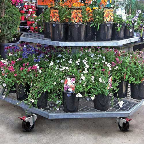 Outdoor retail display on castors with hard nylon wheels Outdoor retail display on castors with hard nylon wheels